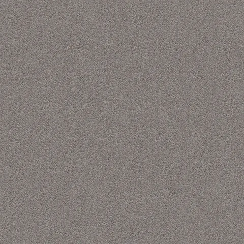 Dolphin carpet swatch